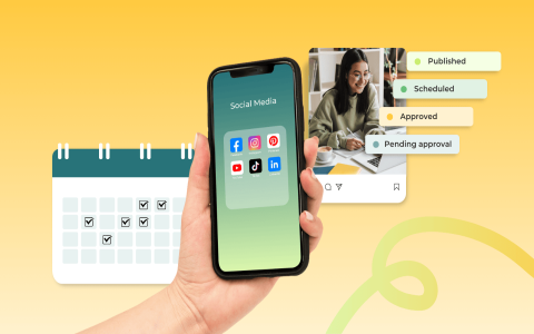 First Time Using BCN Newsletter? Beginner’s Guide Quick Setup Tips