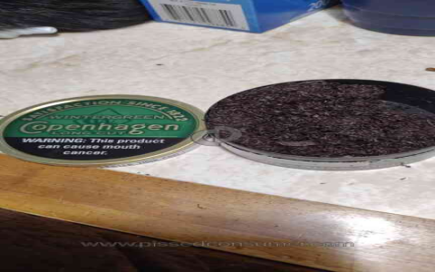 Is copenhagen packs worth it? What customers say about quality