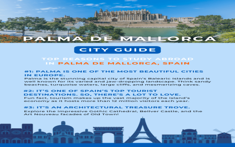 Mallorca vs Las Palmas Travel: Compare Costs and Places to Stay Guide