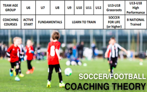Soccer Team Players Count Explained How Many Play Game Rules