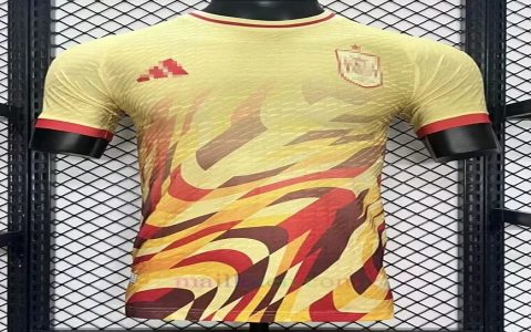 Spain Euro 2024 Kit Price Cost and Best Online Sellers