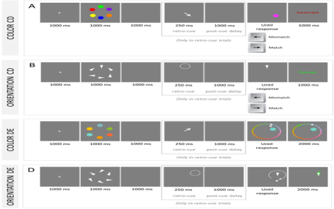 ViaReal Best Features? Discover 7 Key Things You Get